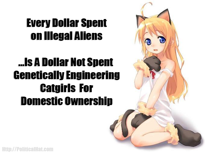 Federal Government to Fund Creation of Catgirls