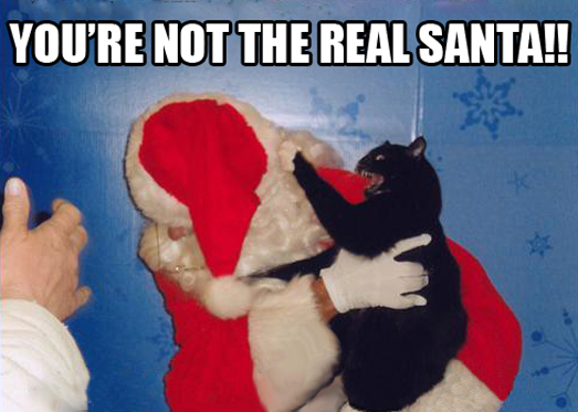 funny cat attacking santa claus